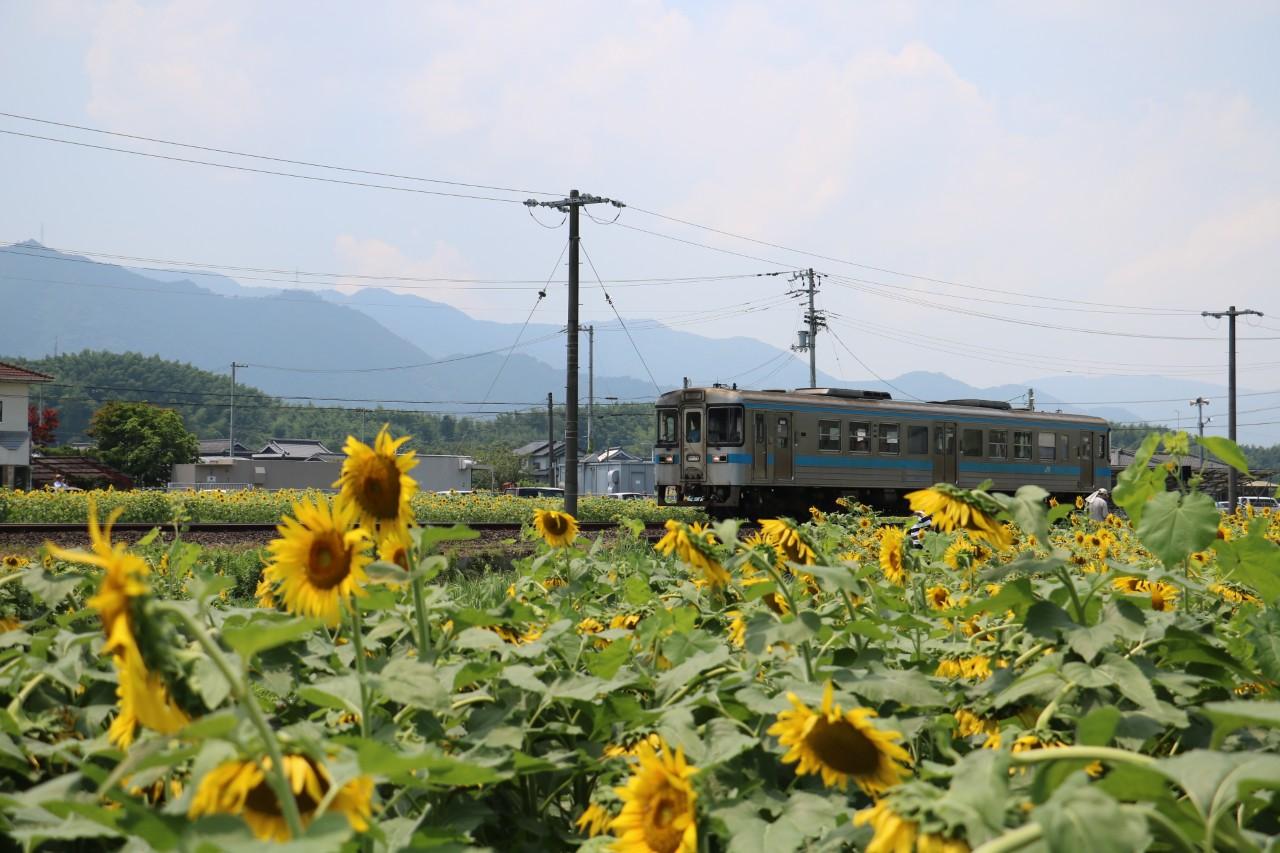 画像: JR土讃線 提供:四国旅客鉄道株式会社