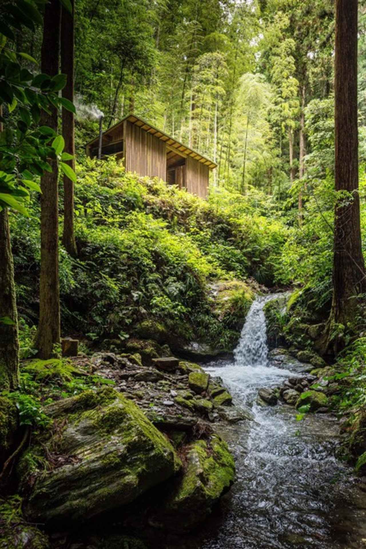 画像: 1組限定のサウナ小屋。9:00～12:00または13:00～16:00の貸し切り制で利用することができるプライベート空間