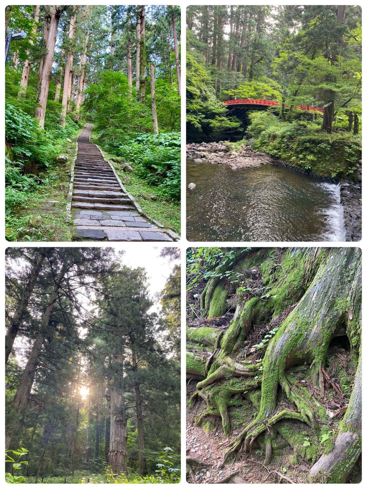 画像: 石段 秡川 杉並木