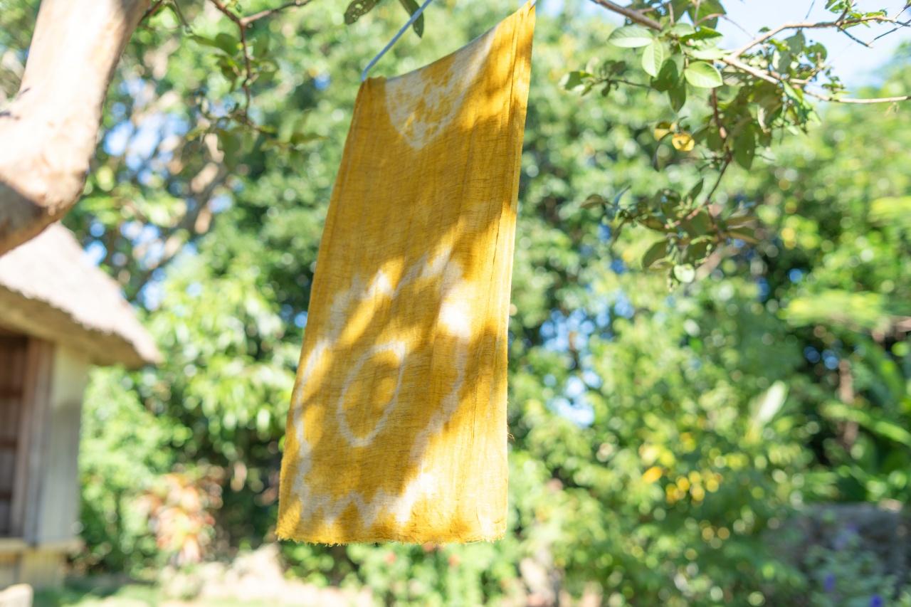 画像4: 急がない時間を楽しむ、草木染め体験