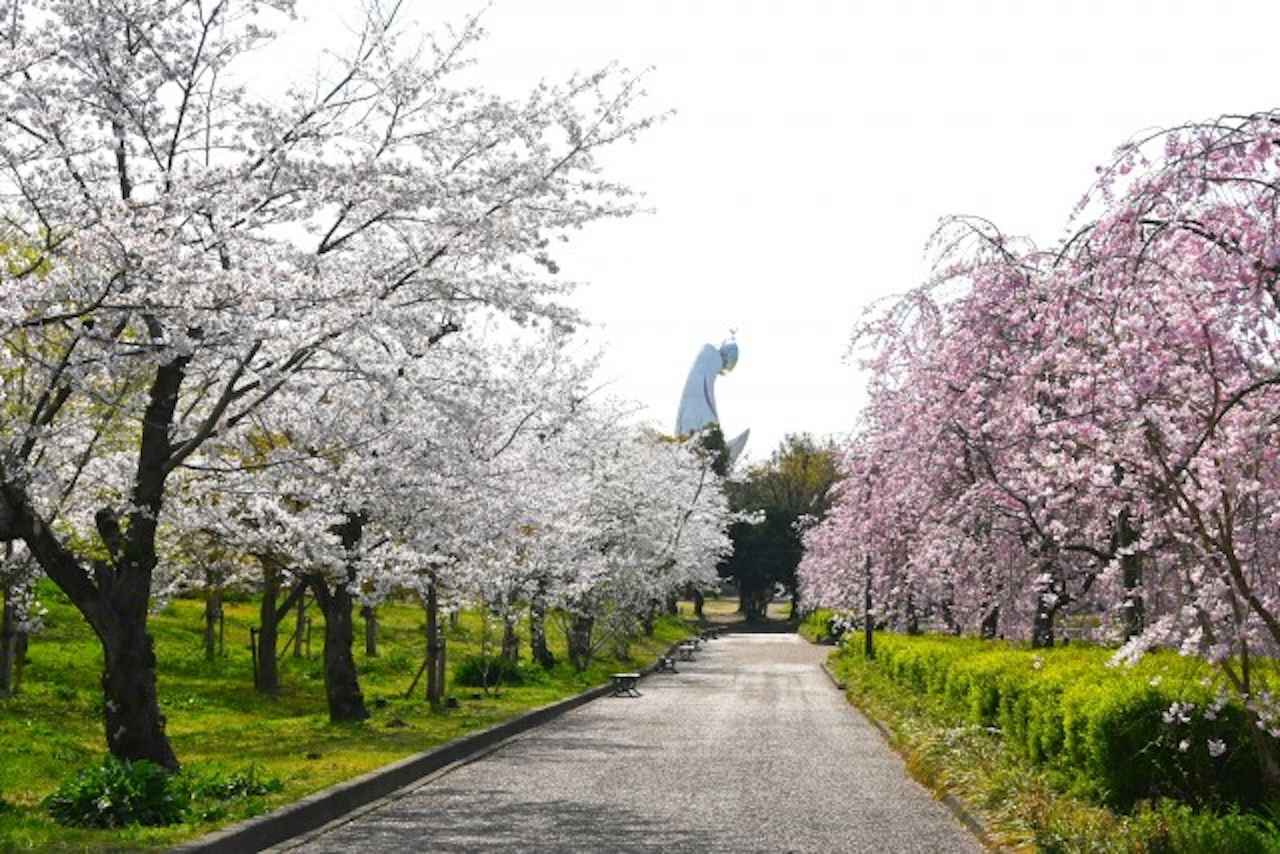 画像2: 写真提供:万博記念公園マネジメント・パートナーズ