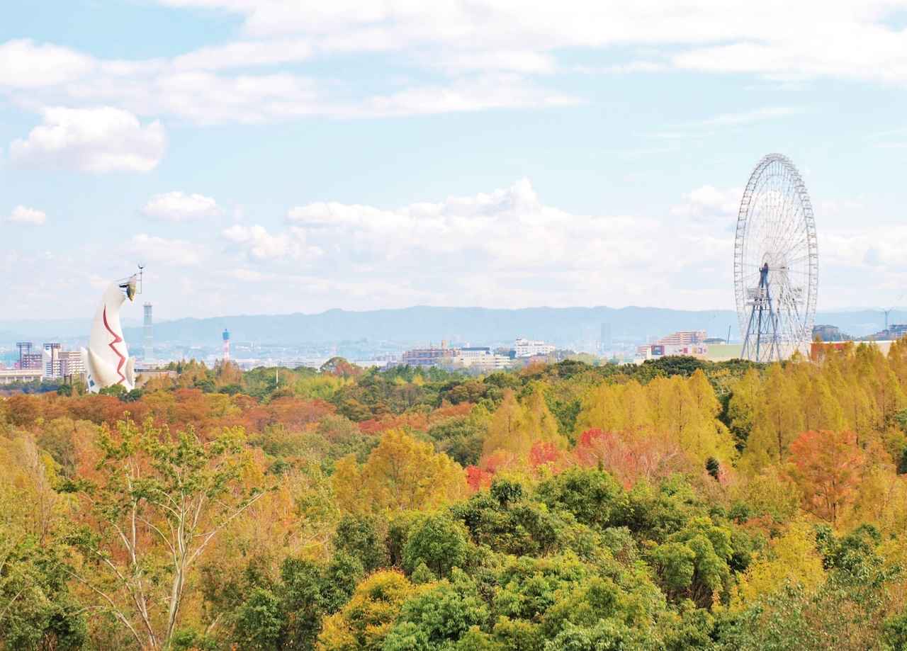 画像4: 写真提供:万博記念公園マネジメント・パートナーズ