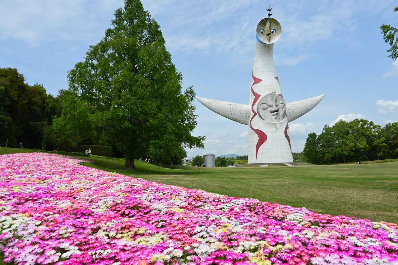 画像3: 写真提供:万博記念公園マネジメント・パートナーズ