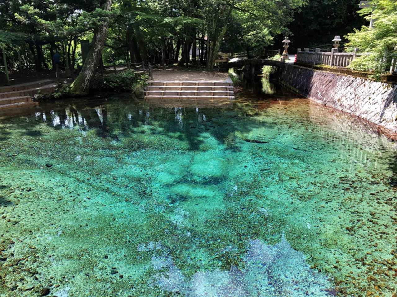画像: 大地が育んだ、透きとおる名水百選の湧水「別府弁天池」