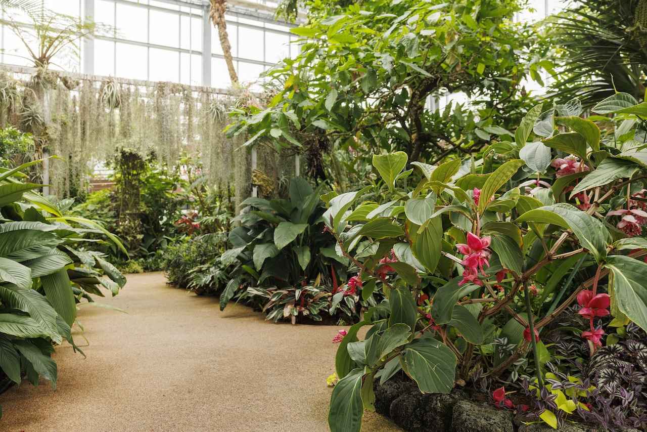 画像3: 緑の風と色彩に癒やされる。亜熱帯の庭園で過ごす、余白のひととき