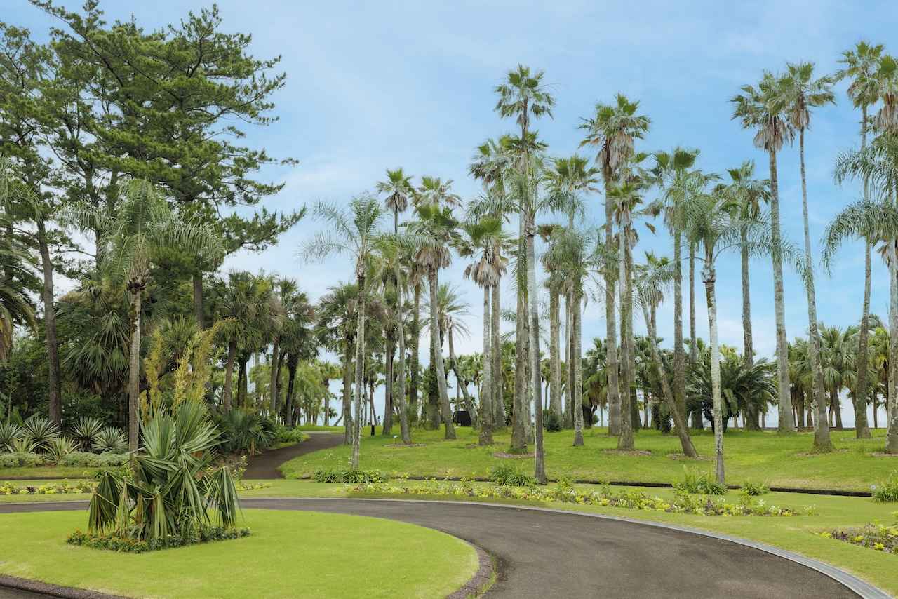 画像2: 緑の風と色彩に癒やされる。亜熱帯の庭園で過ごす、余白のひととき