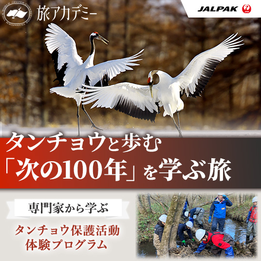 画像3: 自然豊かで美しくタンチョウに選ばれた「鶴居村」をご紹介!!