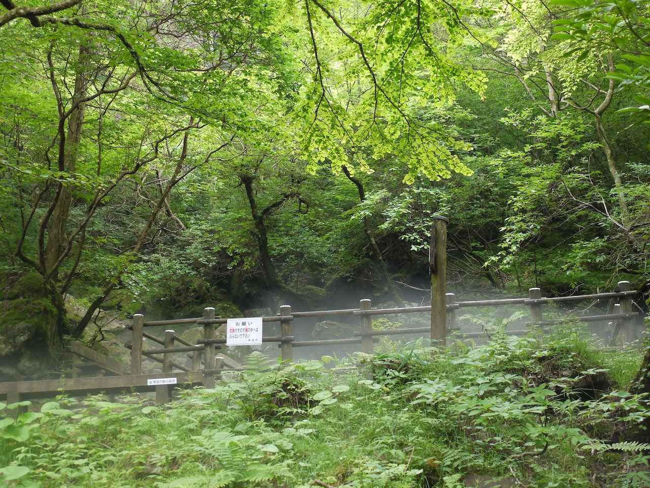 画像2: 【愛媛】岩穴から冷気が吹き出す不思議な現象「上林の風穴」
