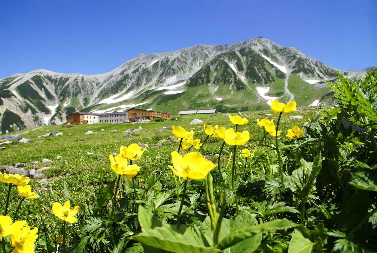画像3: 【富山】登山初心者でも行ける日本最高峰の避暑地「立山黒部アルペンルート」
