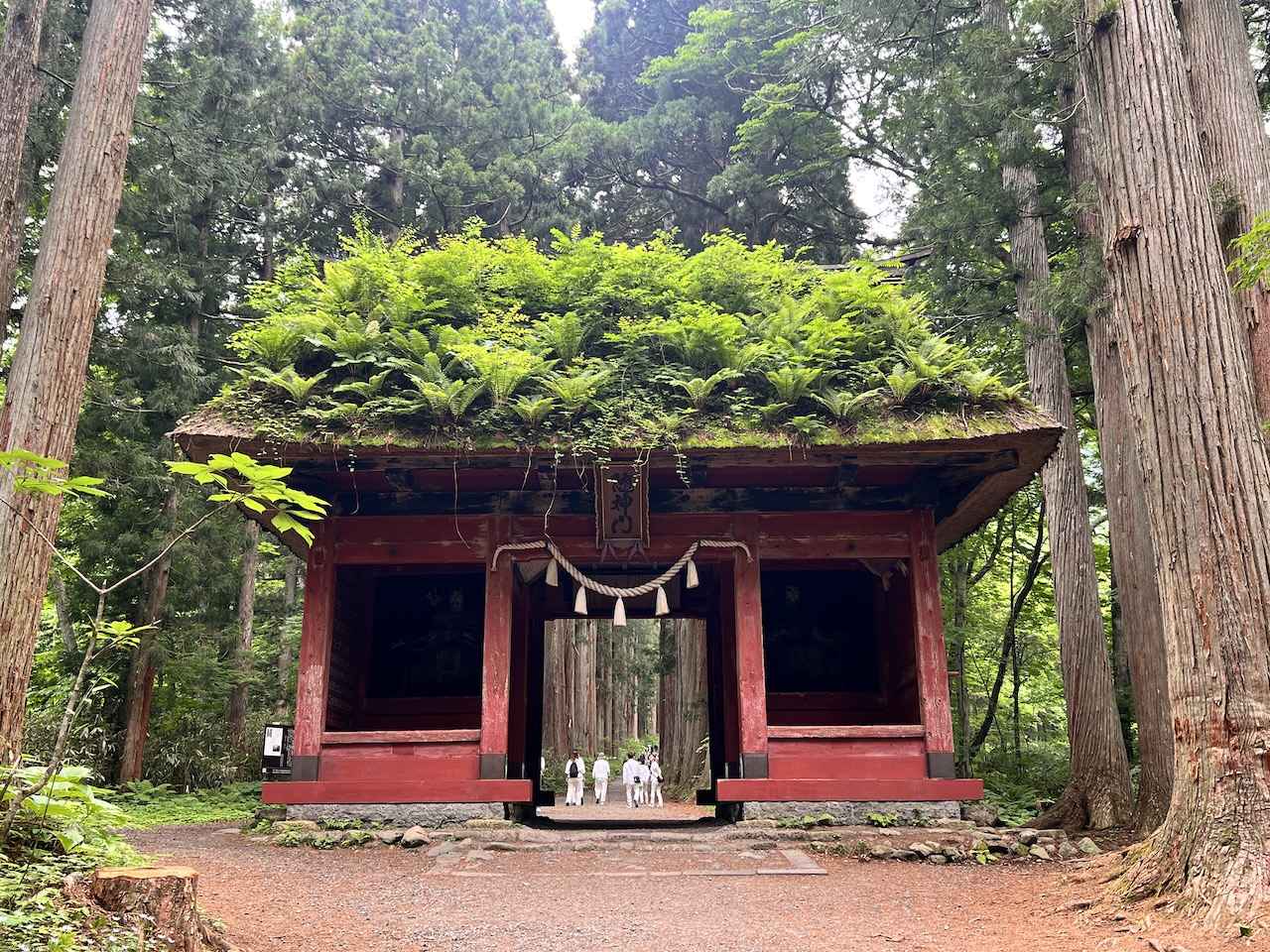 画像: 【長野】パワースポットめぐりとあわせて訪れたい「戸隠」