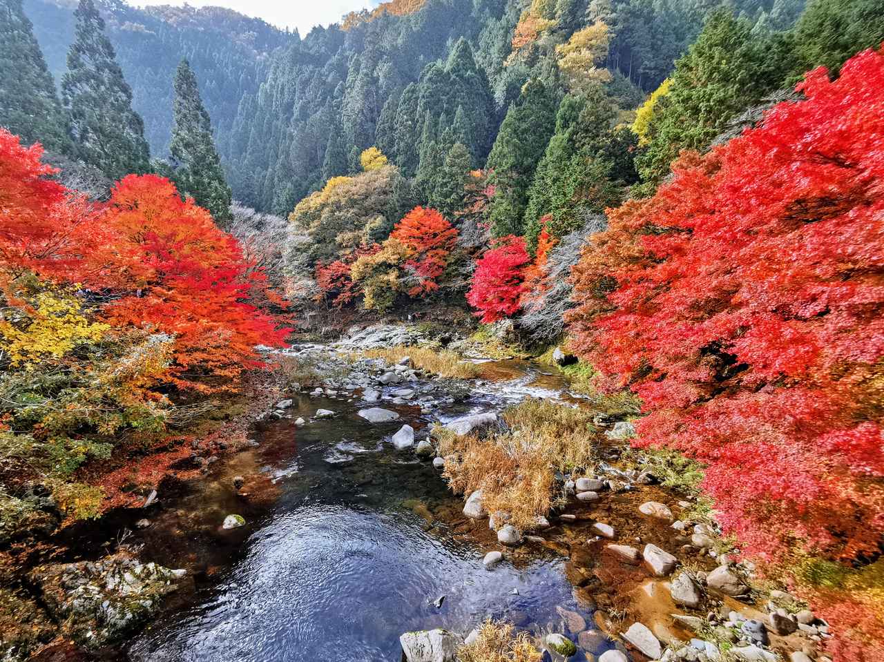 画像: 清流と紅葉が織りなす絶景「奥津渓」