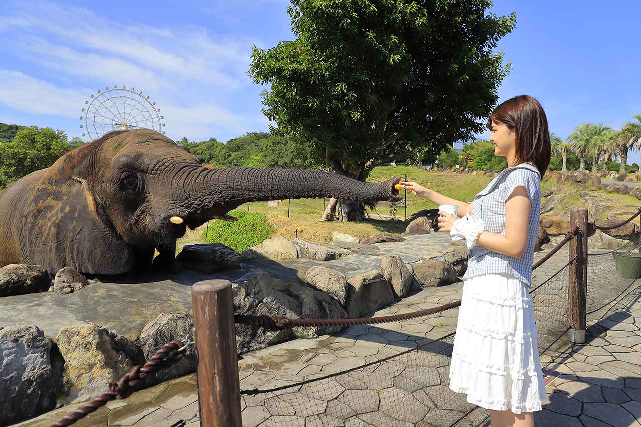 画像24: 今すぐリフレッシュ!25歳以下がおトクなスカイメイトで行く、南紀白浜リゾート旅