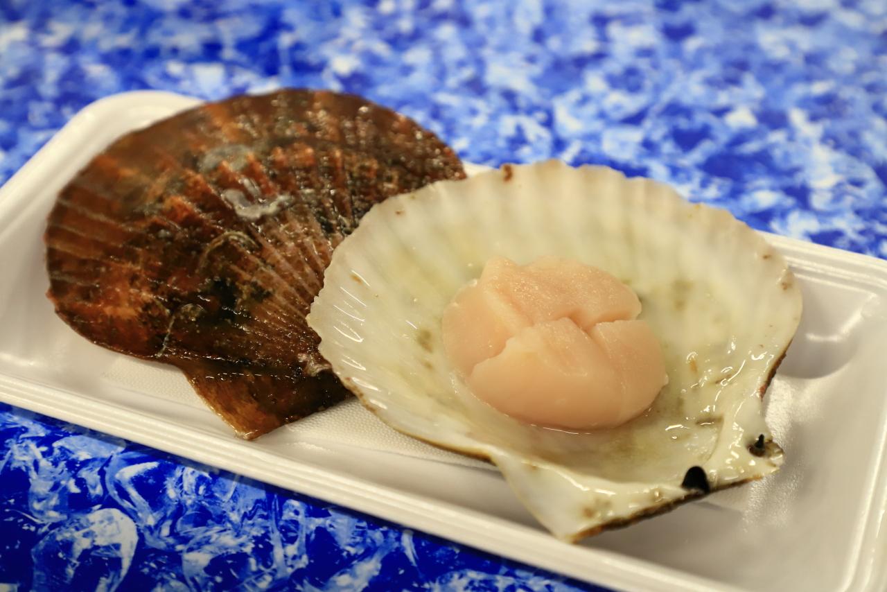 画像: とれとれ市場|南紀白浜の“おいしい”をまとめて味わう