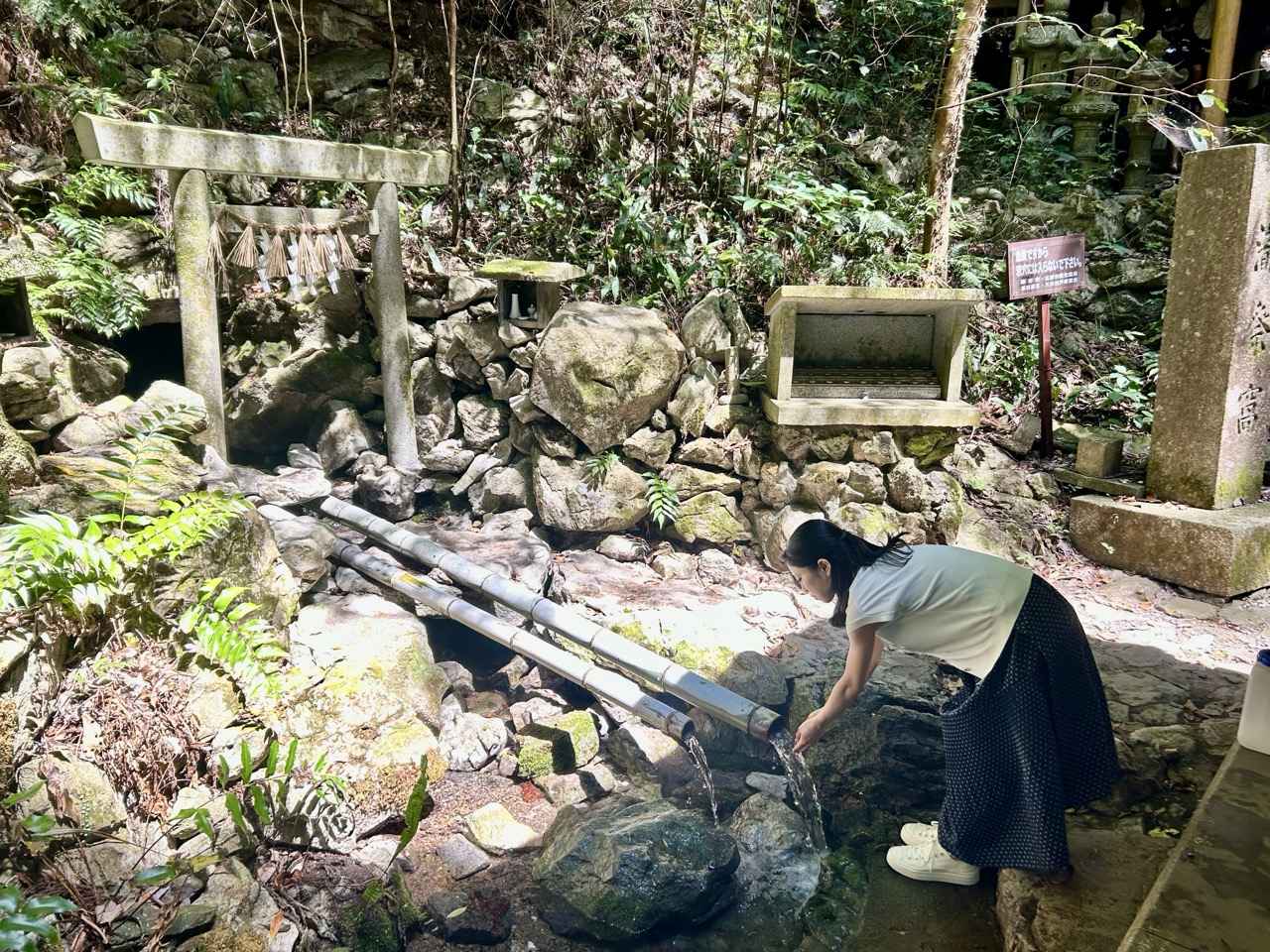 画像: 〔1日目〕 静寂と清水の神秘|天の岩戸