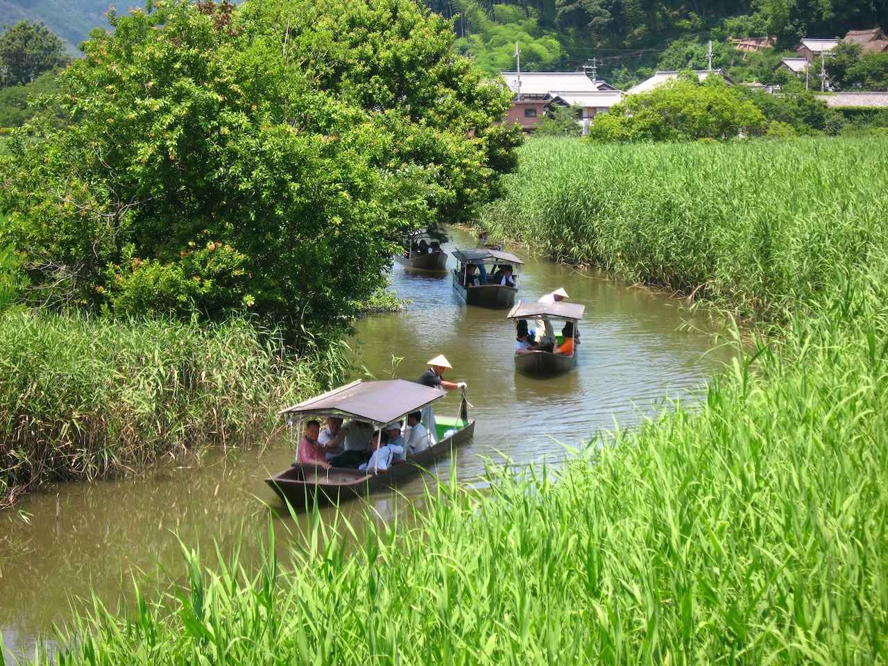 画像: 水郷めぐり