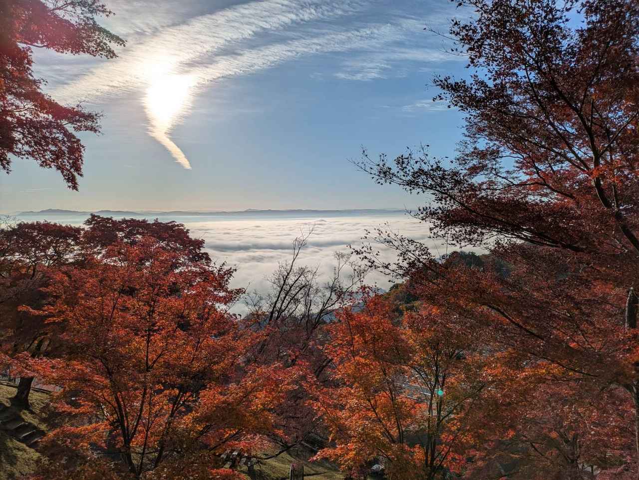画像: 雲海の様子