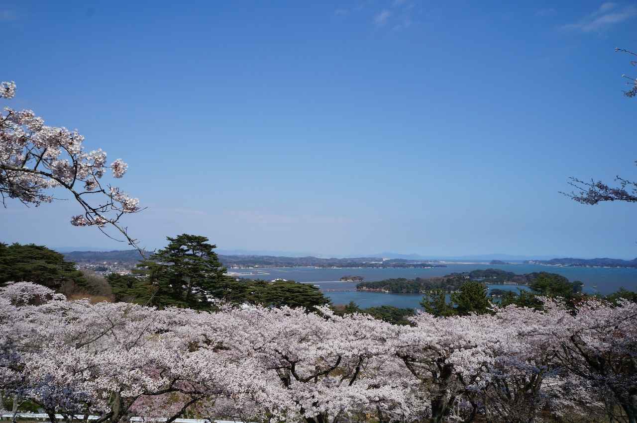 画像2: 写真提供:宮城県観光戦略課