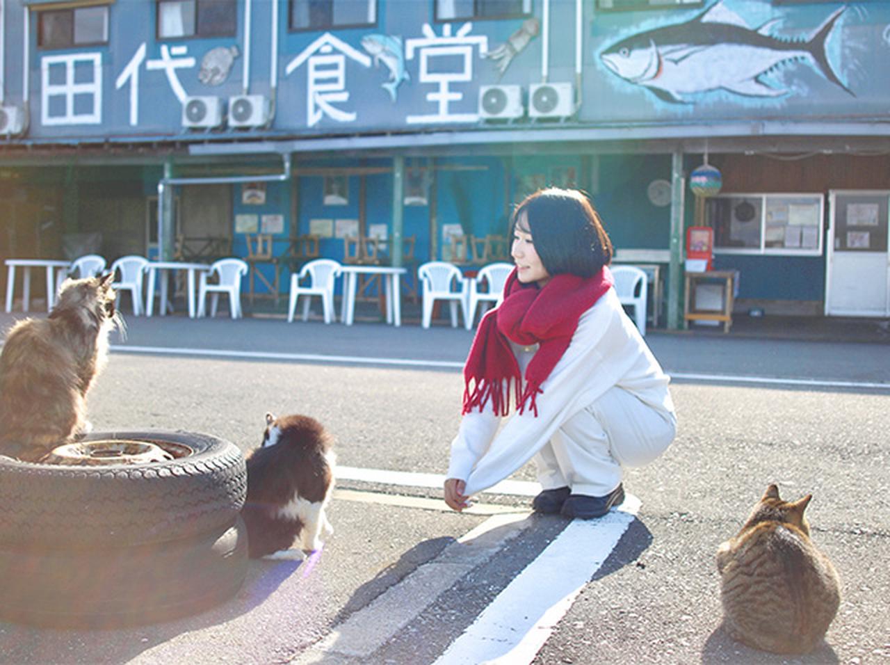 画像: 3.11から15年。石巻出身JAL客室乗務員が案内する、美しい港町の「いま」