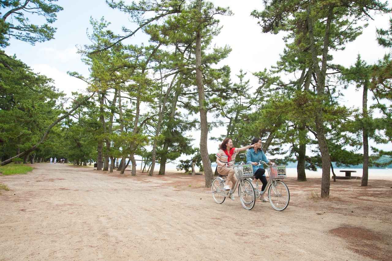 画像3: 写真提供:天橋立観光協会