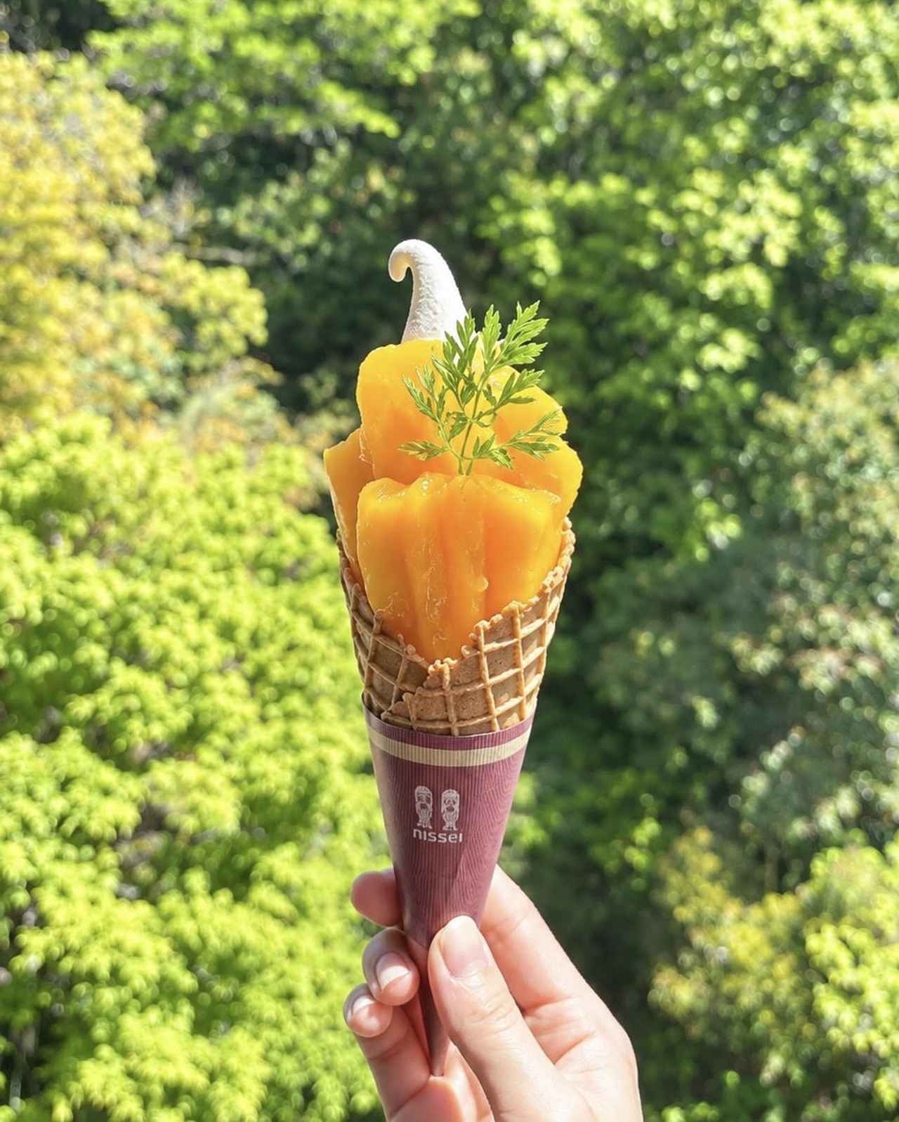 画像: 写真提供:あまてらすの隠れcafe