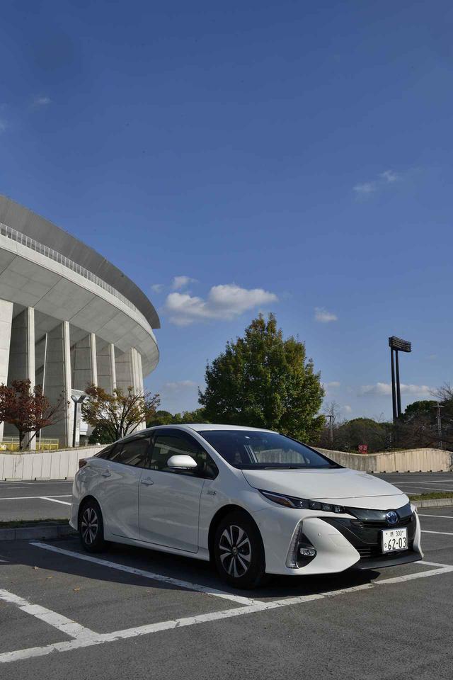 画像: 空とのコントラストが美しい!(撮影は公園管理事務所の許可を得て行っております。)