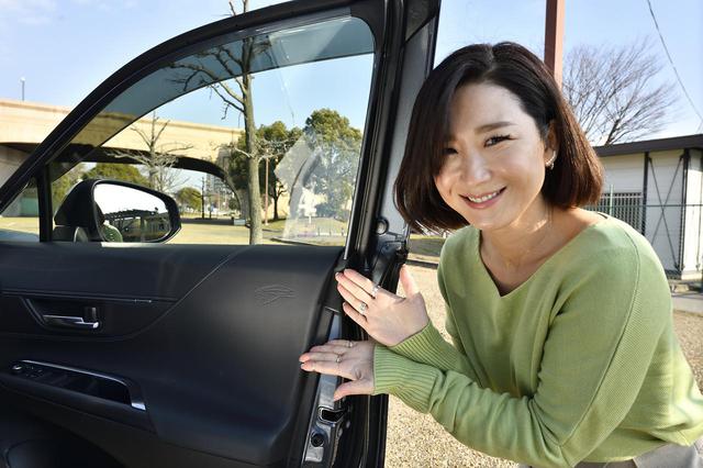 画像: ハリアーエンブレム!ここに発見!