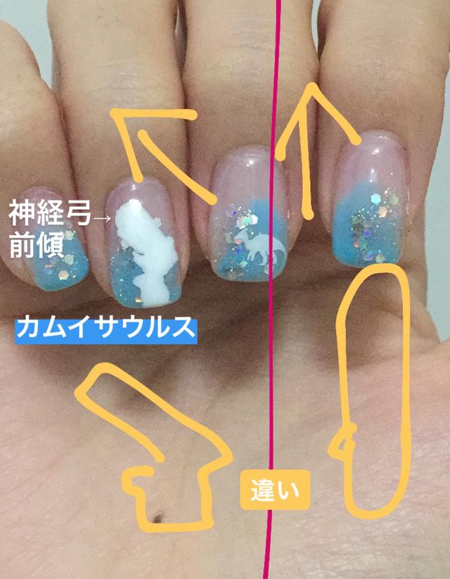画像2: カムイサウルスの特徴
