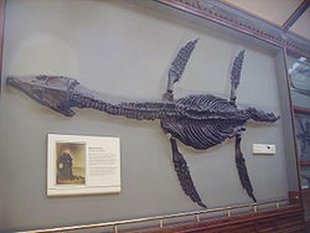 画像2: ja.wikipedia.org