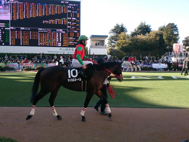 画像: パドックで愛馬を間近に見て声援をおくる。これもまた楽しい瞬間だ。ワクワクも止まらない。
