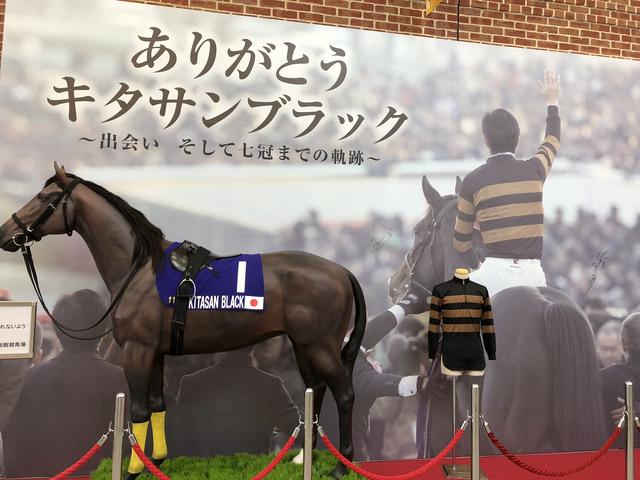 画像: 7冠馬キタサンブラック。歌手の北島三郎さんの会社大野商事が所有していたのは有名だ。収得賞金額は7億625万円、総賞金額は18億7684万3000円だ。