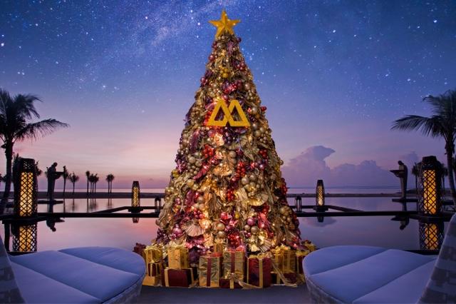 画像: ムリアのクリスマス