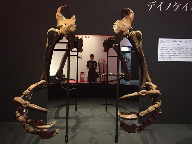 画像1: 「恐ろしい手」の名を持つ恐竜