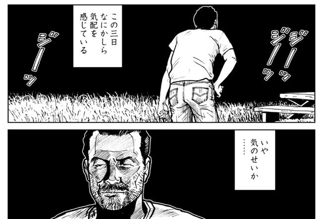 画像3: なんとなく誰かに見られているような気がする