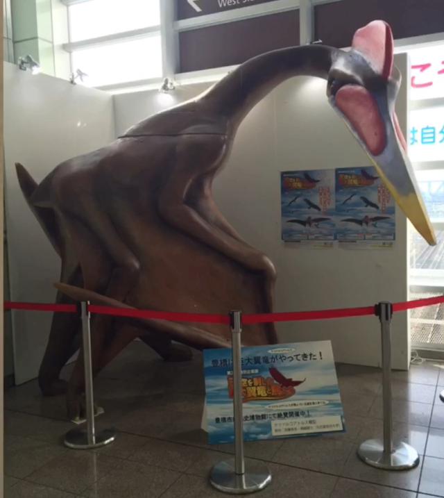画像1: ケツァルコアトルス・ノルスロピ