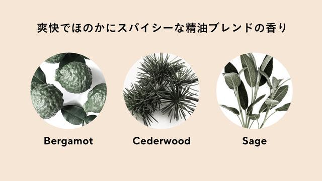 画像5: www.makuake.com
