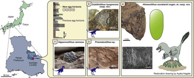 画像: https://www.sciencedirect.com/science/article/abs/pii/S0195667120302056