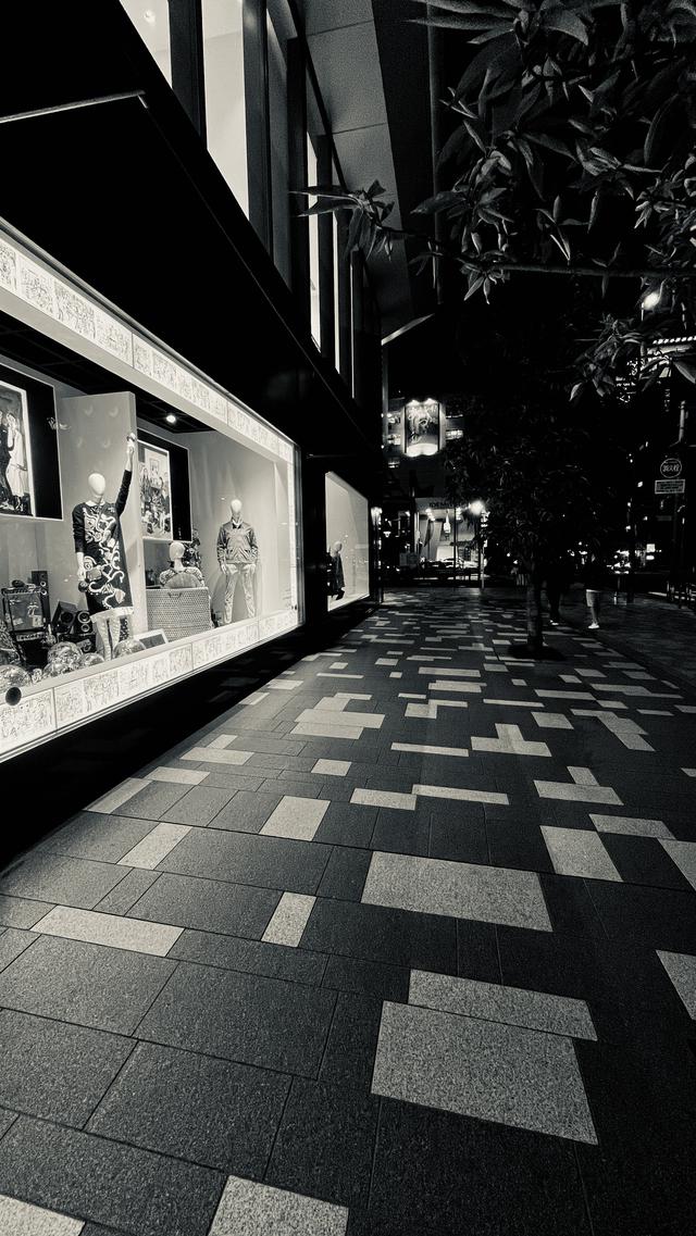 画像: シルバートーン。写真だけ見ても、他の機種との違いを意識する人はカメラ愛好家以外はいないだろうと思う