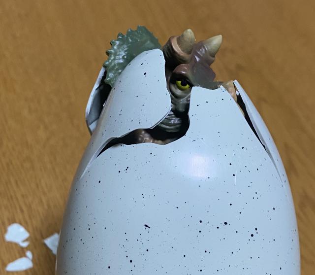 画像: トリケラトプス