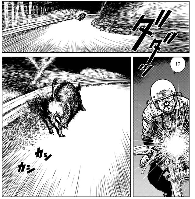 画像3: 暗闇を徘徊する悲痛な獣