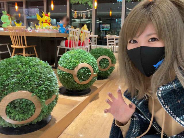 画像: ポケモンのモンスターボールで捕まえられればいいのに…
