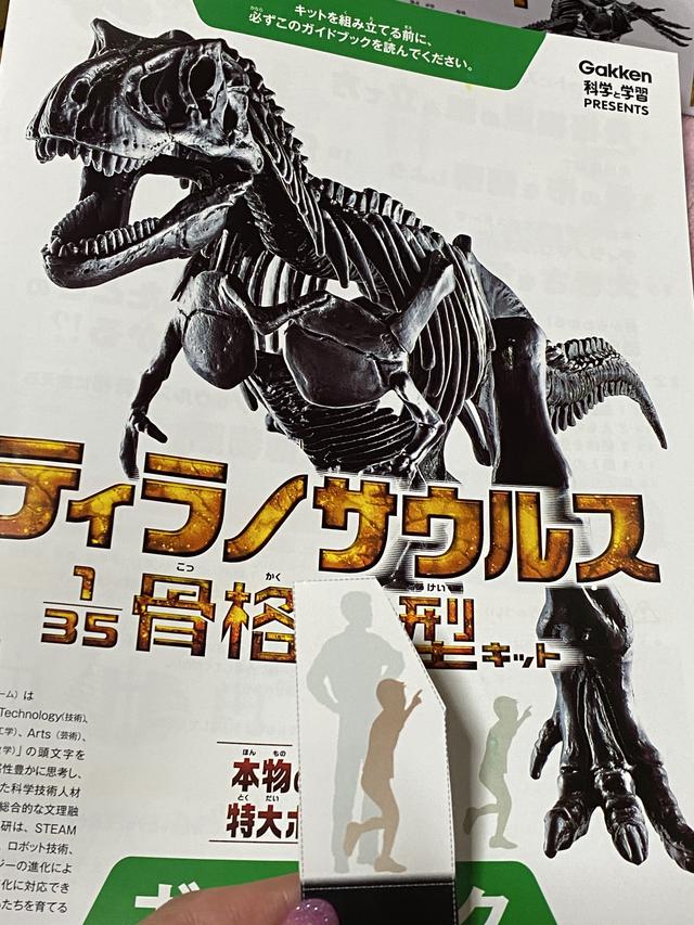 画像3: 完成