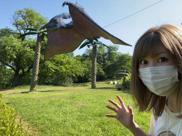 画像4: 恐竜わっしょい!