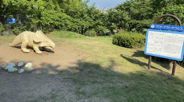 画像3: 恐竜わっしょい!