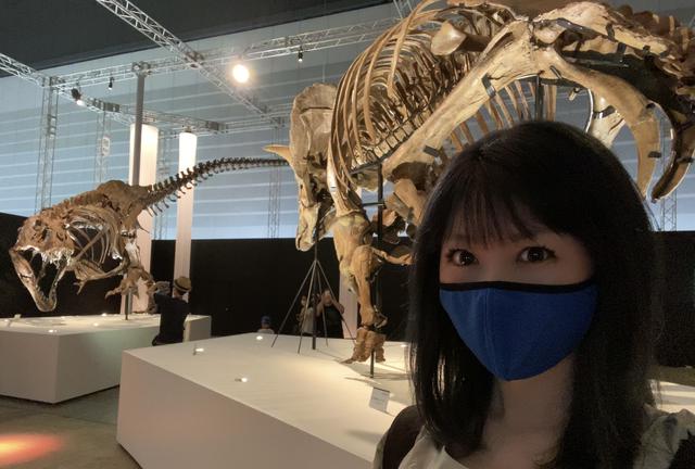 アンズ爪化石化石地獄の鶏