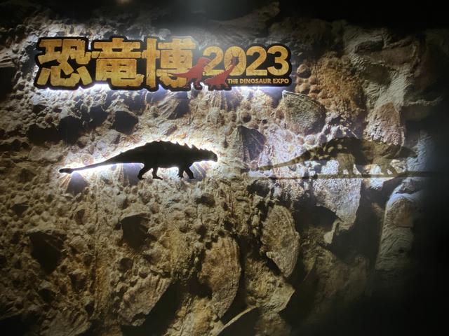 中身まる見え！スキピオニクスのとんでもない化石が見られる！【恐竜博