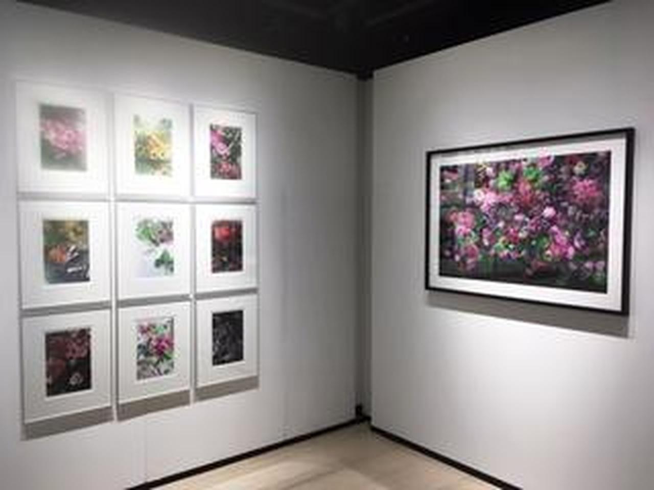 ac941bebaba79b34f6e7cb0948c0b0