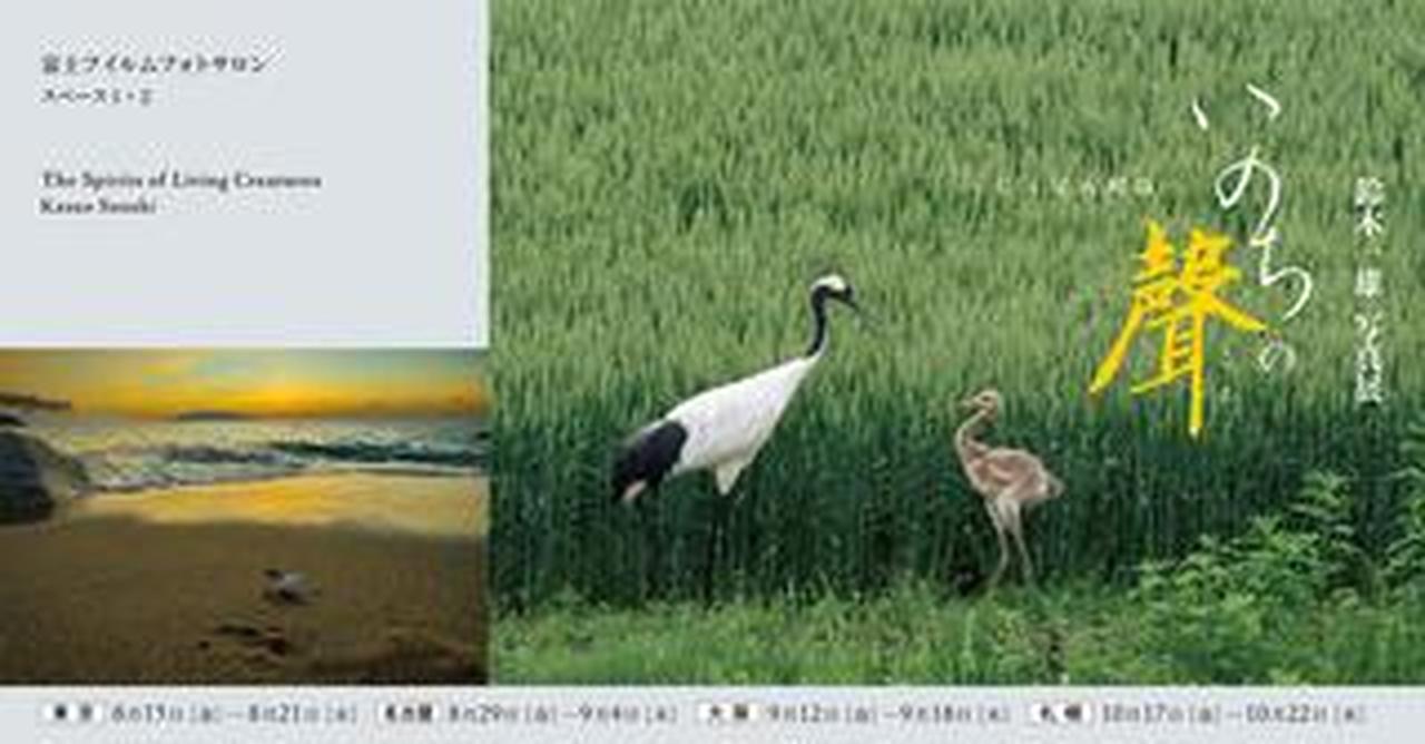「尾瀬の聲 」鈴木一雄 写真集 尾瀬の聲 」鈴木一雄 写真集 写真集・著書 | 写真家 鈴木一雄 公式