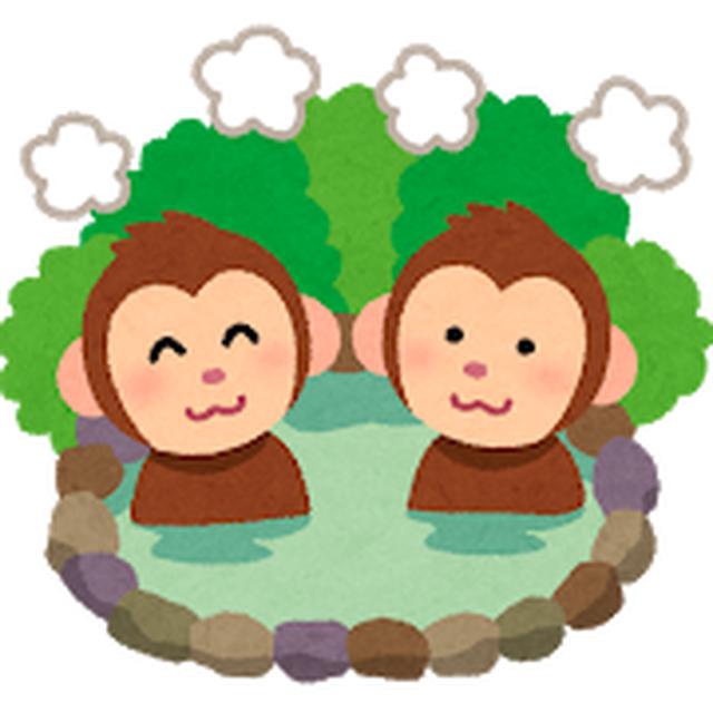 画像: 2月19日水曜日 阪神高速 maruごとハイウェイ!