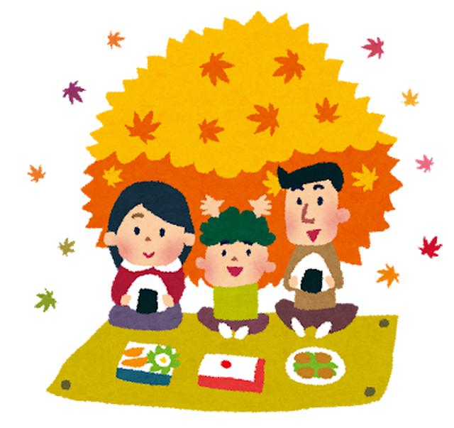 画像1: 11月18日水曜日 阪神高速maruごとハイウェイ!