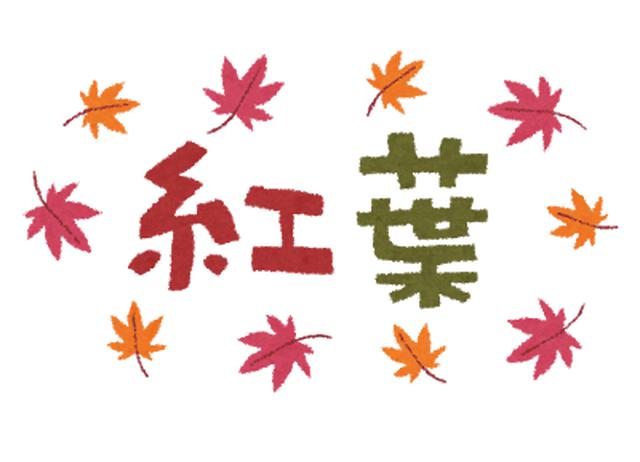 画像1: 11月25日水曜日 阪神高速maruごとハイウェイ!